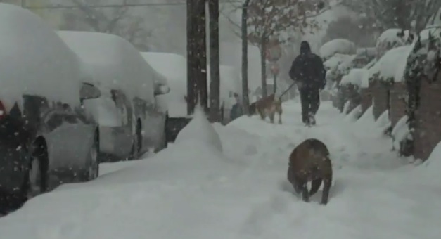 Rumble vs Snow — Snow Wins